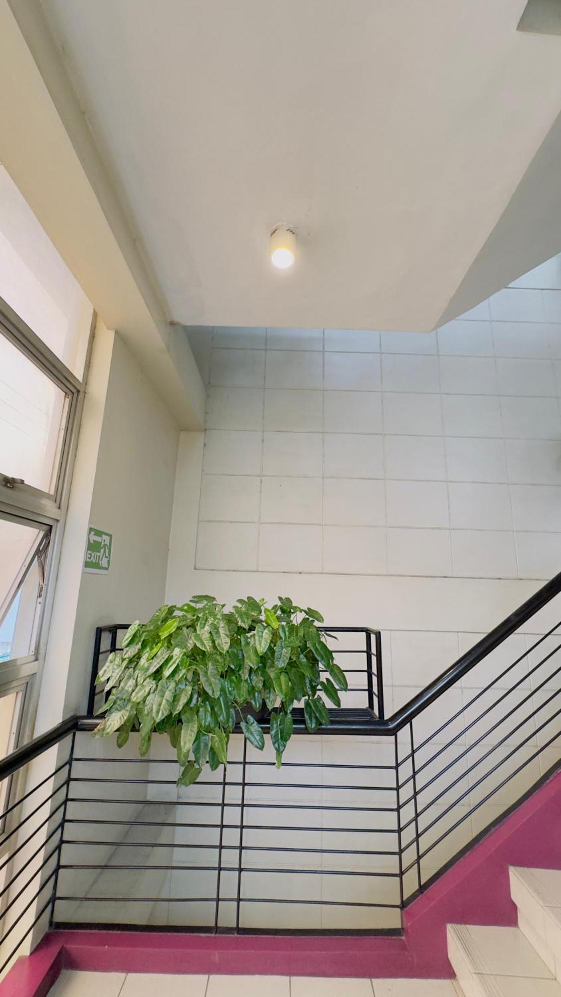 La Anclar Hotel Davao Экстерьер фото